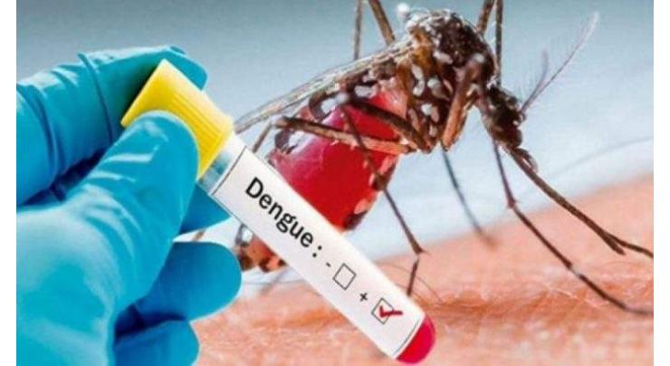 7 dengue patients reported from Potohar town
