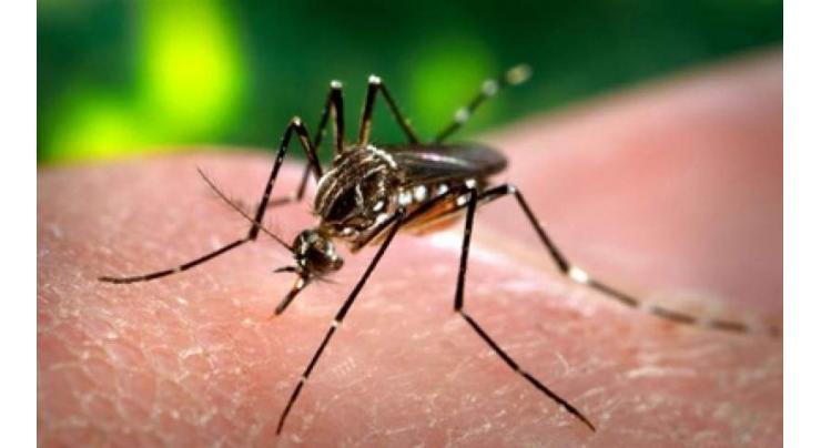 Anti dengue week to be observed
