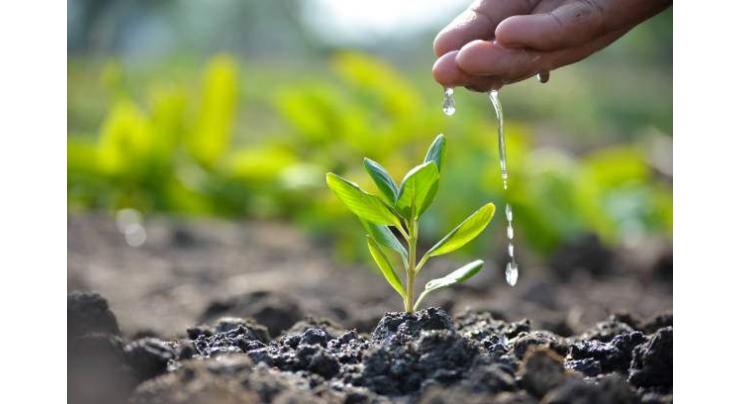 Minister lauds completion of 1m tree plantation
