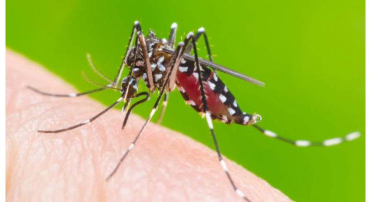 Rawalpindi's dengue score touches 100
