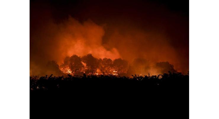 Portugal struggles to control huge blaze in natural park
