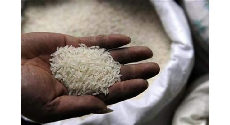 Sindh Govt  to help set up rice export zones in province
