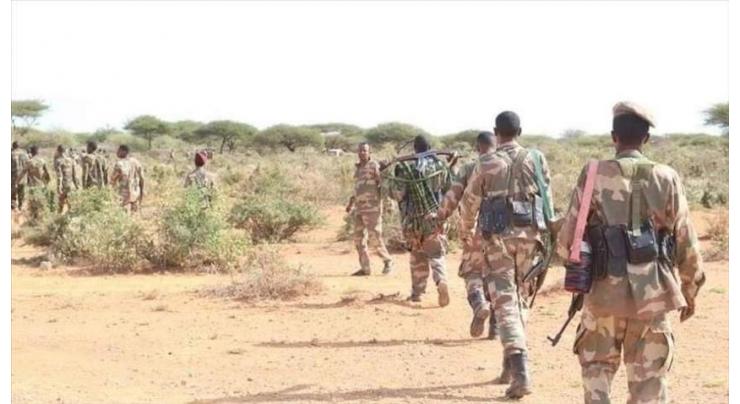 Somali army claims killing 17 al-Shabaab terrorists
