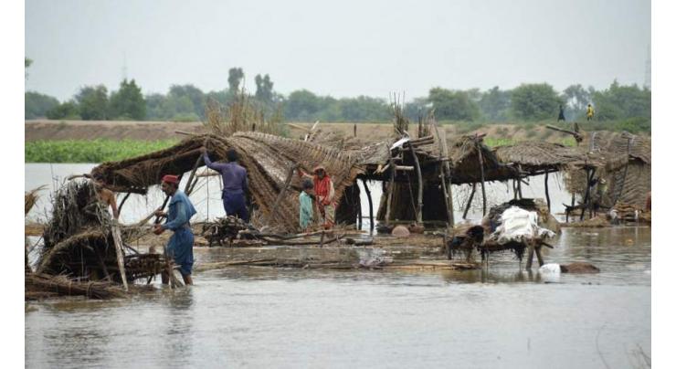Flood wreaks havoc in D I Khan, kills 12 people, injures over 50 others
