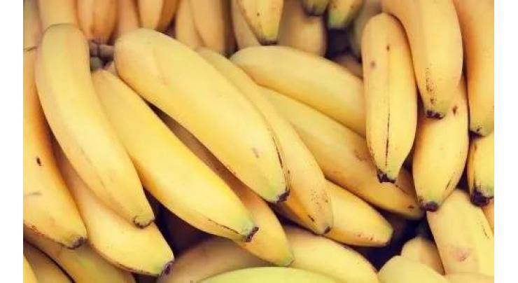 German Police Say Seized 660Kg of Cocaine in Banana Shipment