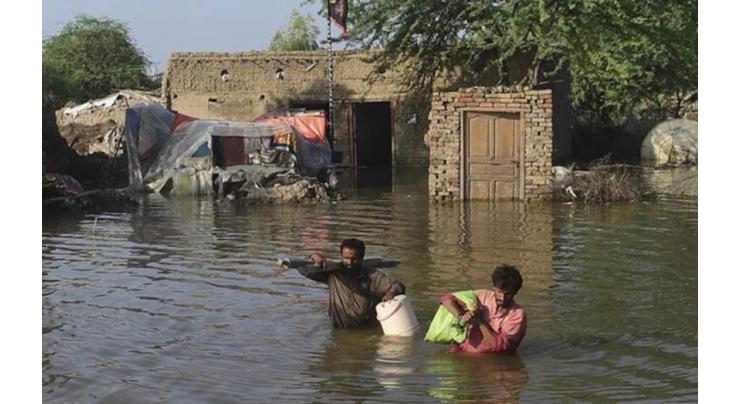 WHO Warns of Malaria, Dengue Outbreaks in Pakistan After Floods