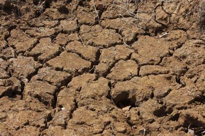 Seceta în România afectează 870.000 de acri de teren agricol – Ministerul Agriculturii