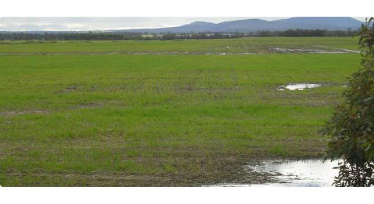 Australian Agri experts for long term project to resolve waterlogging , Alkali Flat land issues
