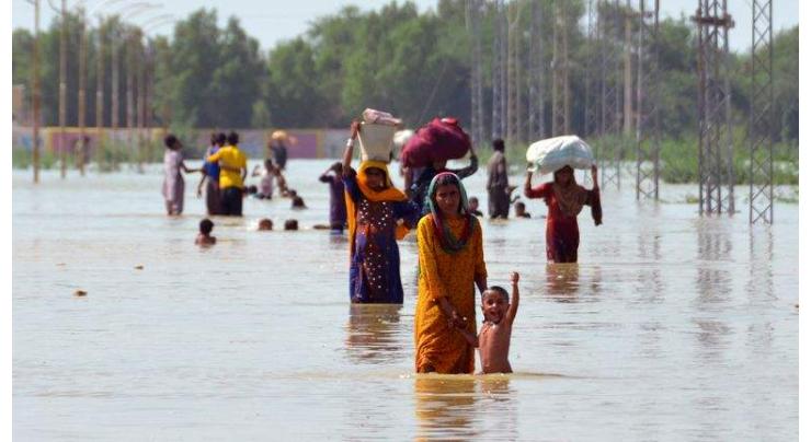 NDMA, PDMAs asked to complete survey of flood areas
