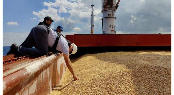 Nearly 2.5Mln Tonnes of Grain Left Ukraine Since July - Reports