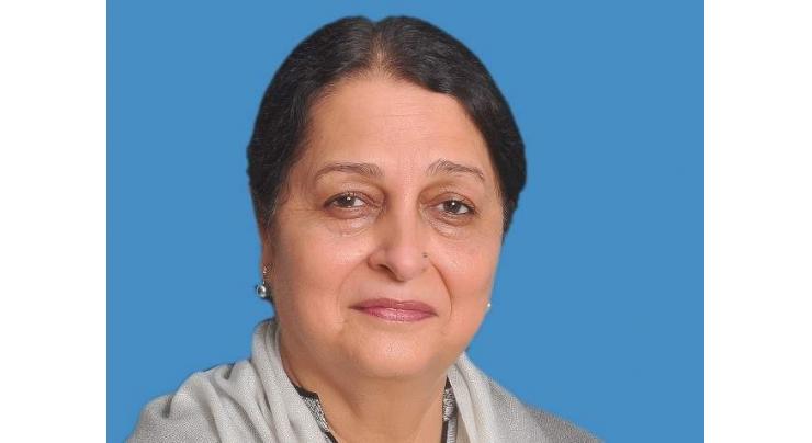 Organizing Expos best way to revive business, economic activities: Senator Fawzia
