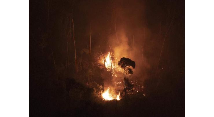 Brazil reports more Amazon fires so far this year than all of 2021
