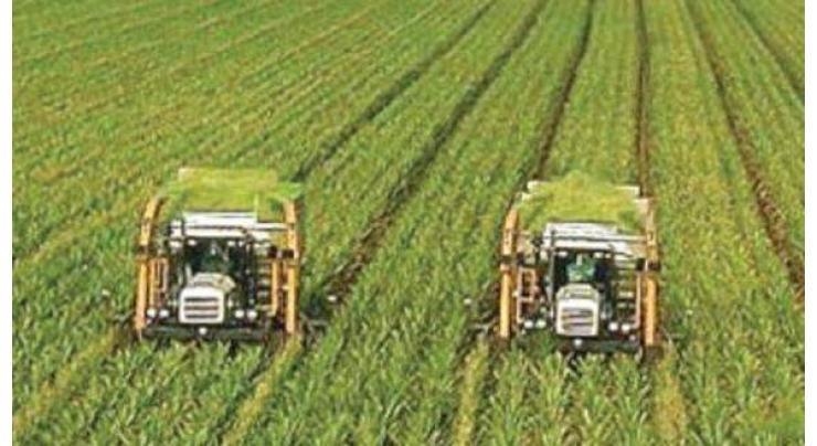 PMAS organizes 3-day Intl Precision Agriculture Pakistan Conference
