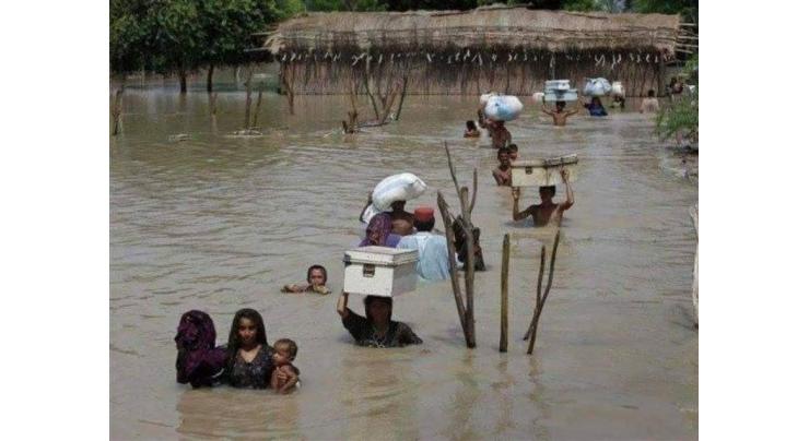 Sindh govt forms survey committees to assess flood damages
