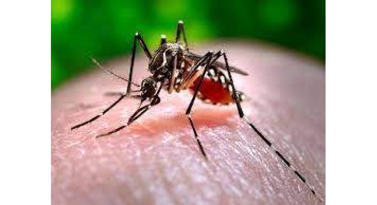 DC reviews dengue situation in federal capital
