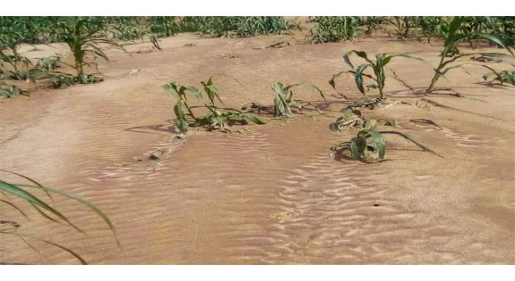Heavy floods ravage West Africa farmlands
