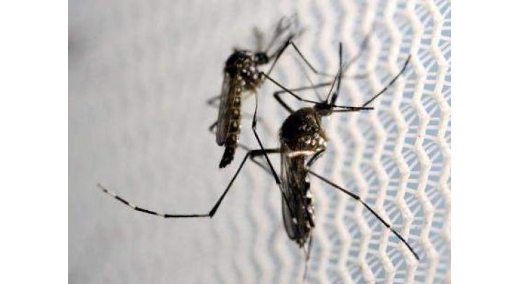 Commissioner Sukkur reviews dengue situation
