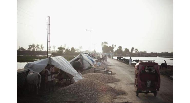 Turkiye's Albayrak Group sends 4,000 tents for flood victims
