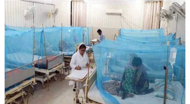 91 more dengue cases reported in Islamabad during 24 hours
