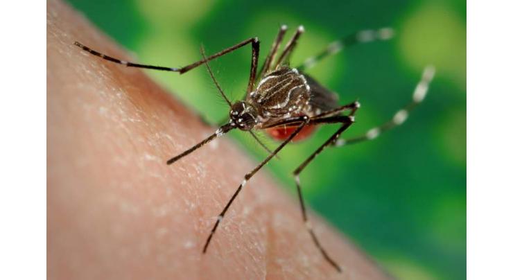 280 more dengue cases reported during 24 hrs
