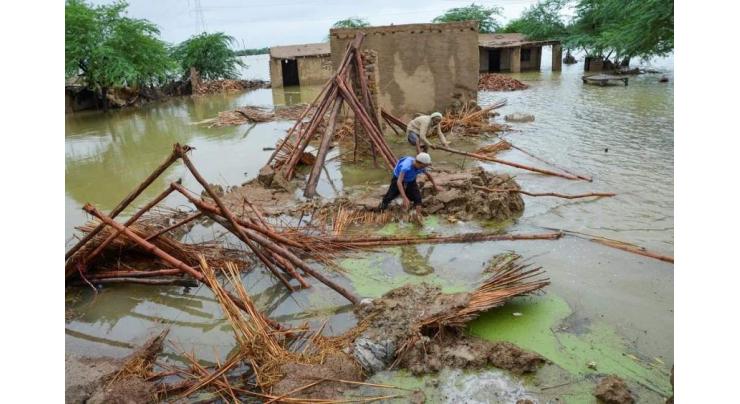 UN agencies making all-out efforts to tackle post flood situation in Pakistan
