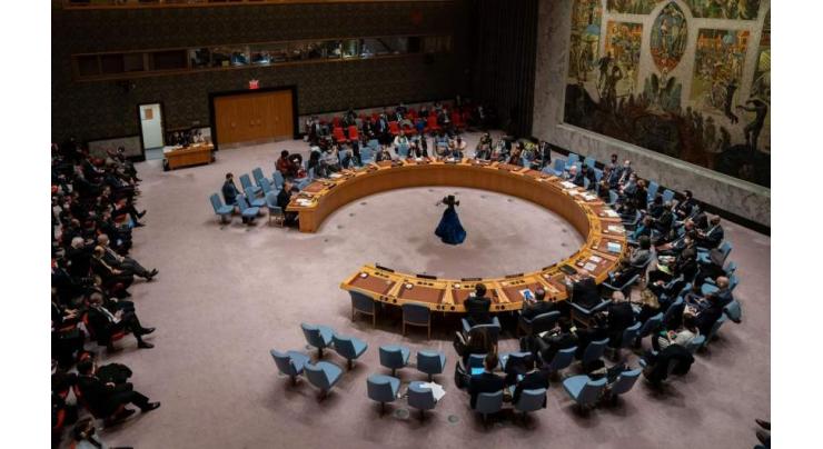 UN Security Council Draft Resolution Condemns Russia for 'Unlawful' Actions - Document
