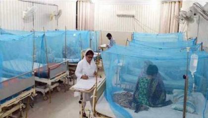 91 more dengue cases reported in Islamabad during 24 hours
