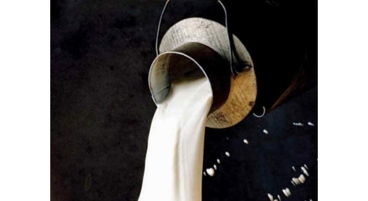 1,350-litre contaminated milk discarded
