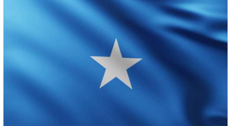 Senior officials among nine dead in Somalia car bombings

