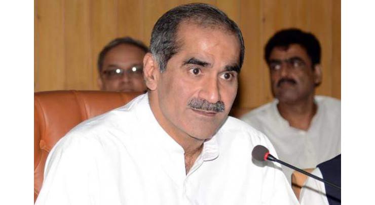 PIA not being sold: Saad Rafique
