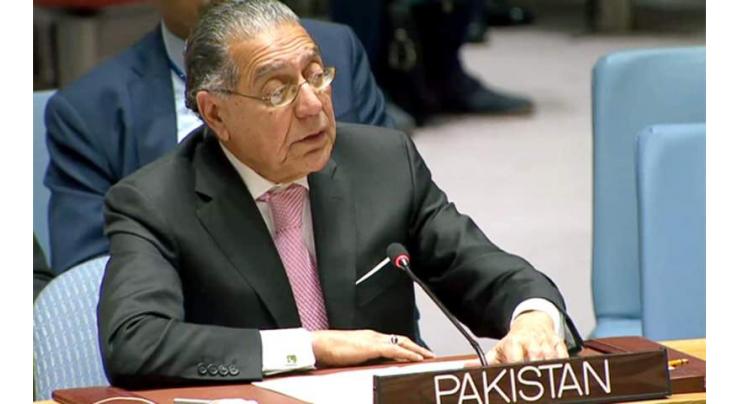 Speakers at Pakistan UN mission webinar reaffirm full support to Kashmiris' freedom struggle
