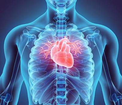 Heart related deaths can be reduced by 25% adopting basic health principles: Speakers
