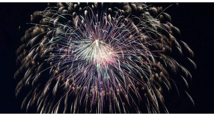 Fourteen Dutch Municipalities Ban Fireworks Ahead of New Year Holidays - Reports