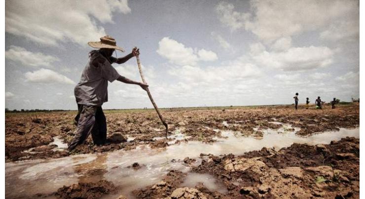 Conflict zones fight 'multiplier' effects of climate crisis
