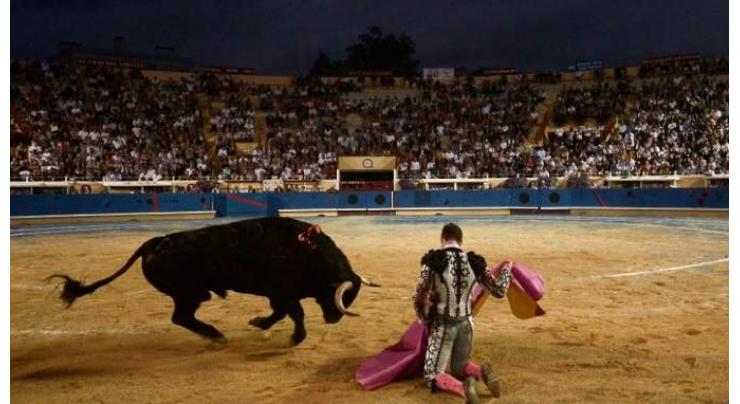 Bid to ban bullfighting abandoned in France
