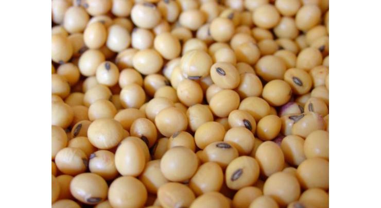 HCCI President urges for releasing soybean oilseed from port

