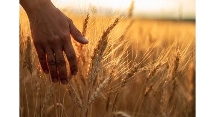 Self-sufficiency in wheat increases country's prestige
