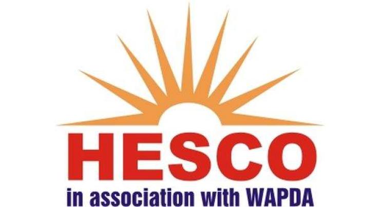 HESCO's performance to be improved despite limited resources: CEO
