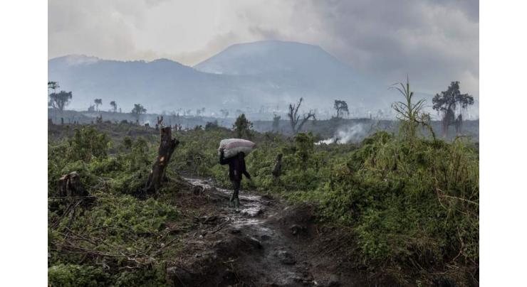 Deforestation imperils famed DR Congo reserve as refugees flood in
