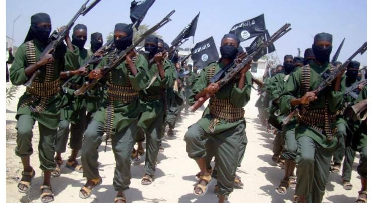 US Strike Kills 2 al-Shabaab Terrorists in Somalia - Africa Command