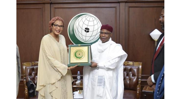 OIC Secretary-General Receives the Minister of Higher Education, Scientific Research and Innovation of Guinea