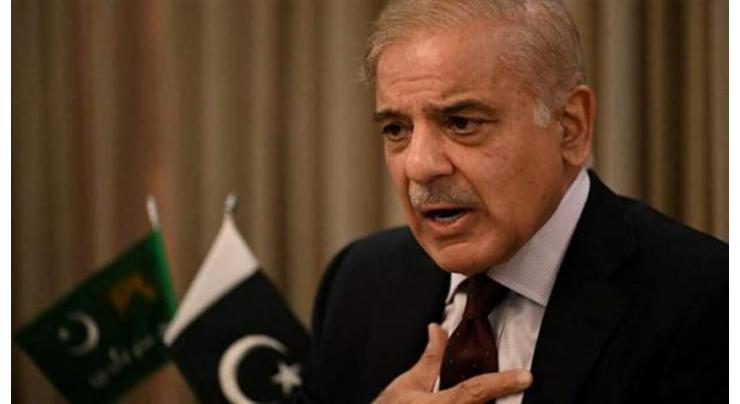 Pakistan stands with Palestine against Israel's massacre: Prime Minister Shehbaz Sharif