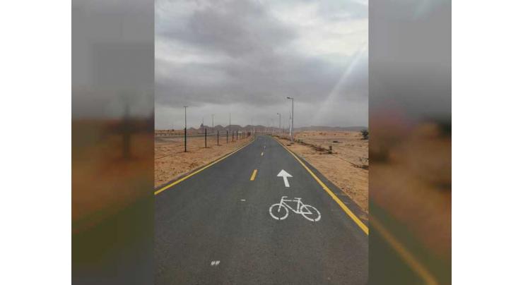 SEWA installs 955 lighting poles to Al Bataeh cycling track