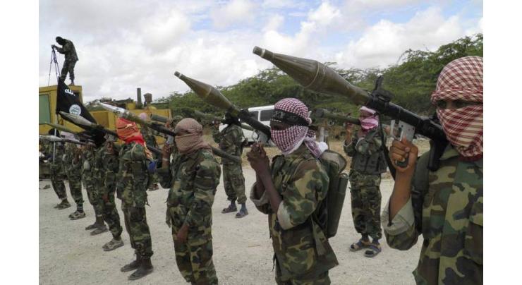 Somalia Makes Progress in Fighting Al-Shabaab Terror Group - US Envoy to UN