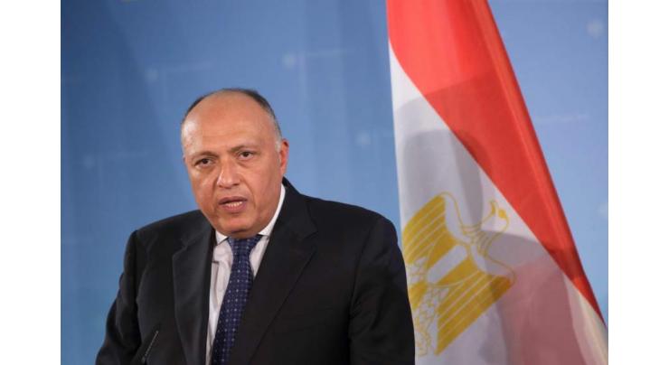 Egypt Will Build Equal Relations With All Countries Despite Pressure - Foreign Minister