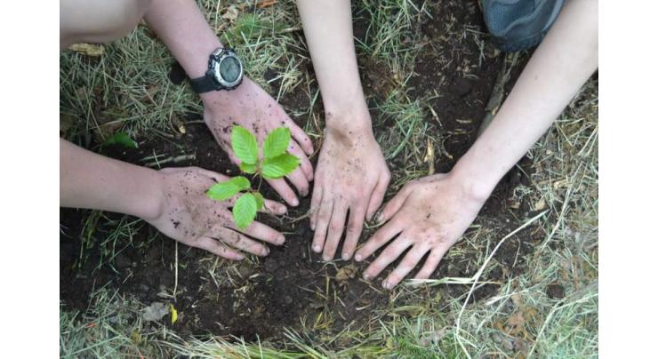 Planting trees could cut deaths from higher temperatures by third: Study
