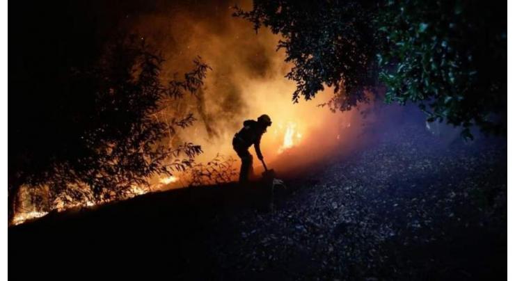 Over Dozen People Dead in Chile Amid Wildfires - Senapred