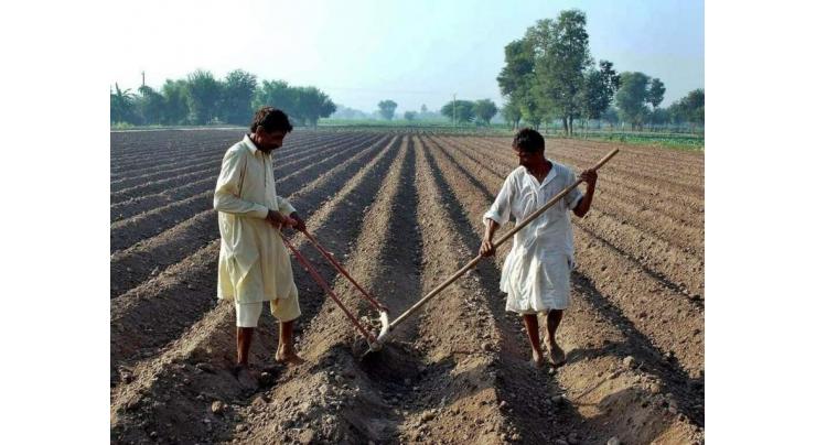 Agri experts emphasize need of joint MoU for growth of certified seeds
