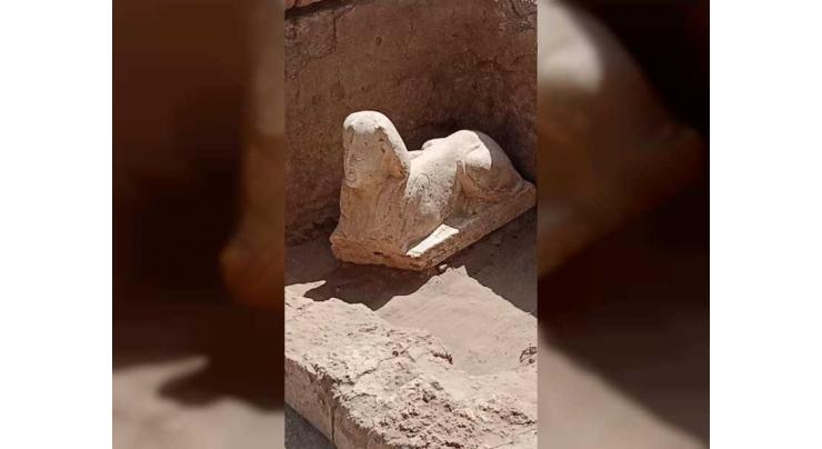 Egyptian archaeological mission uncovers smiling sphinx in Qena