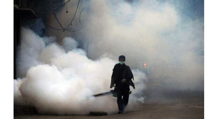 Anti mosquito spray campaign launched  in Shaheed Benazirabad
